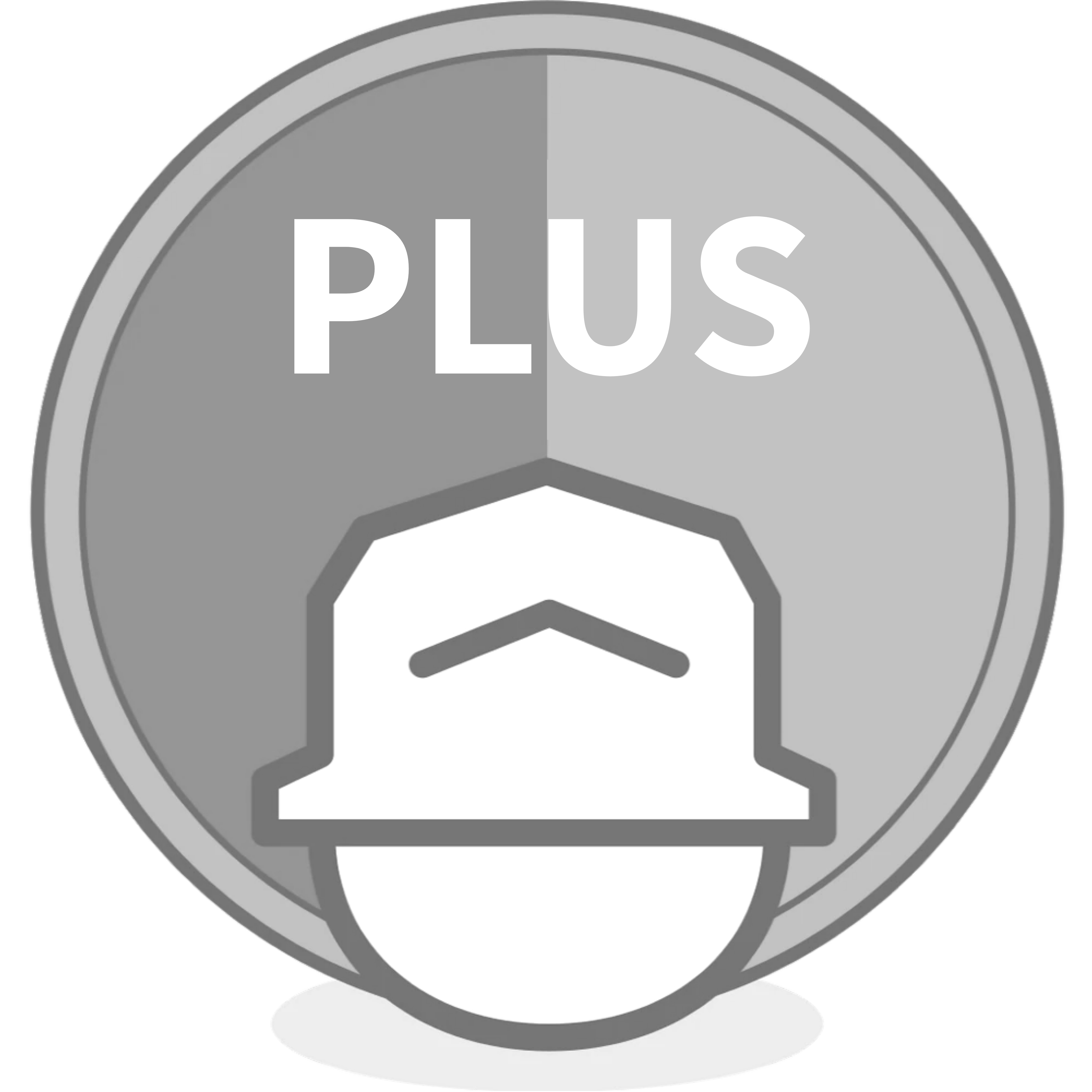 Z_PLUS